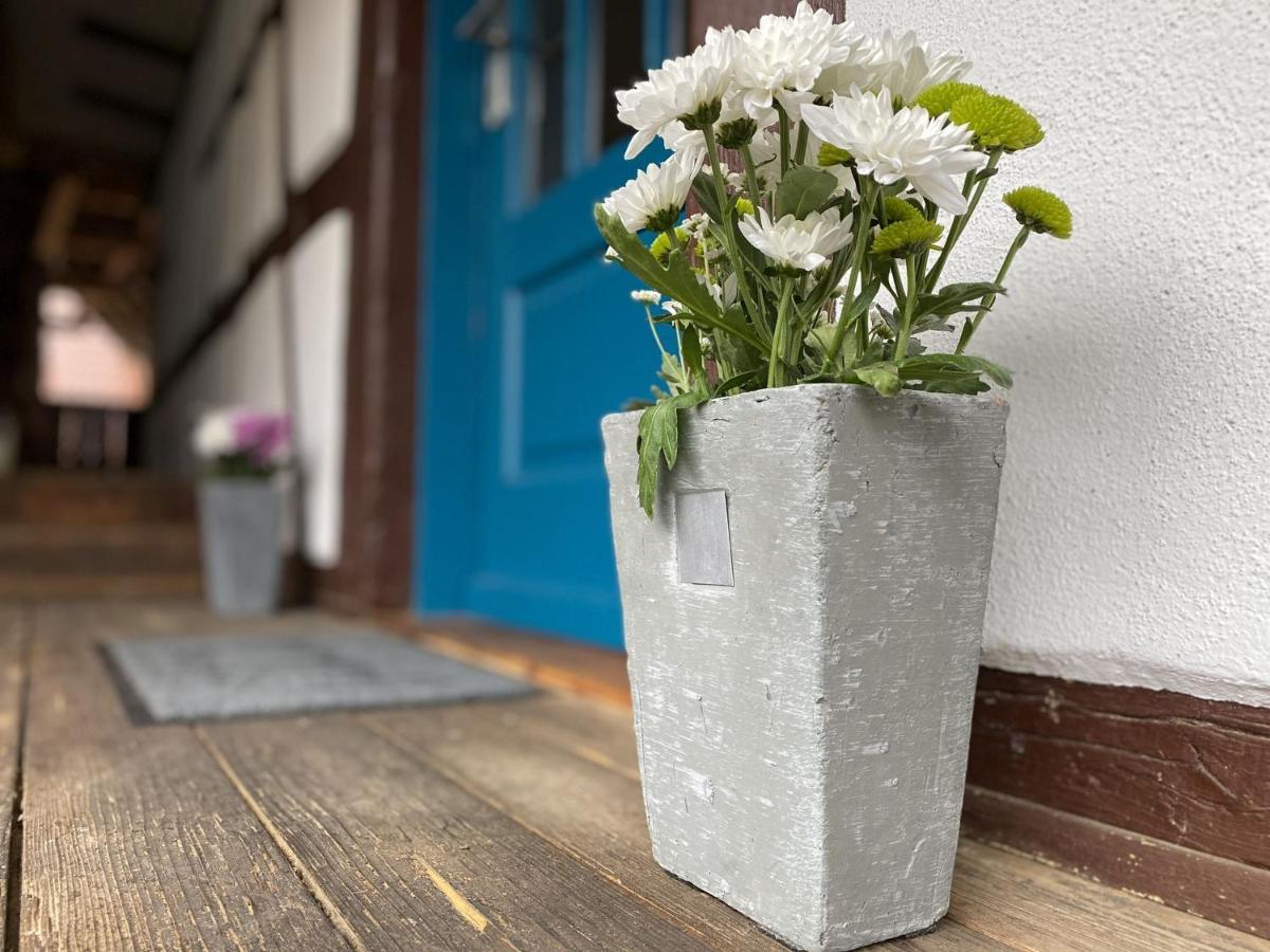 Appartement Traumhaft Wohnen Im Haus Blum à Herbolzheim Extérieur photo