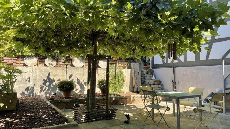 Appartement Traumhaft Wohnen Im Haus Blum à Herbolzheim Extérieur photo
